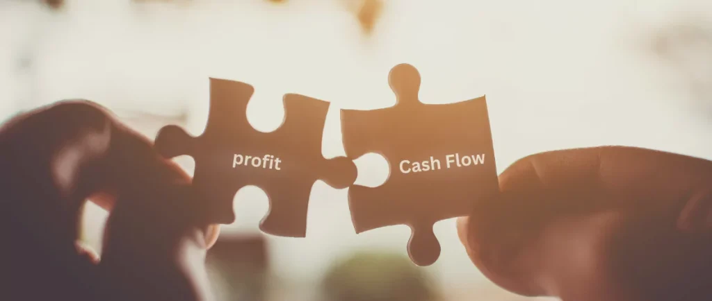 Cash Flow vs. Profit